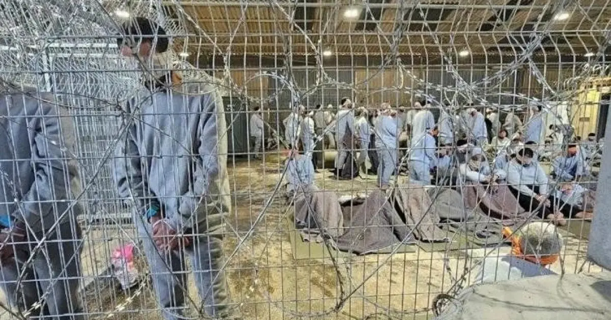 فلسطين – 360 طفلاً و84 أسيرة يقضون عيد الأضحى داخل معتقلات الاحتلال الإسرائيلي فلسطين – 360 طفلاً و84 أسيرة يقضون عيد الأضحى داخل معتقلات الاحتلال الإسرائيلي