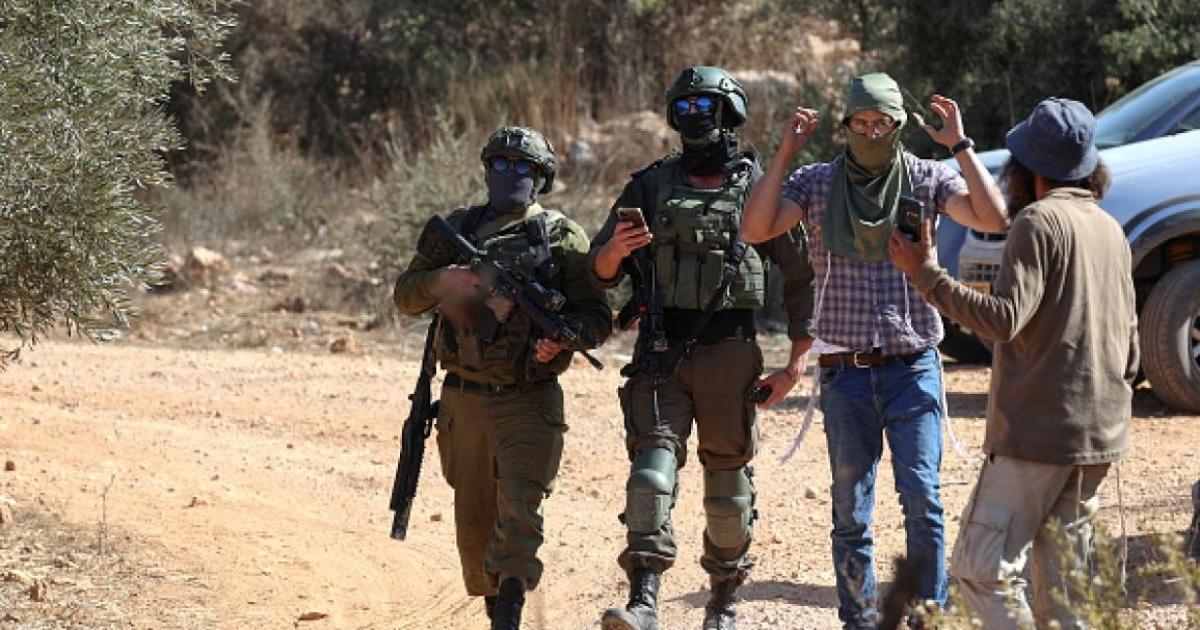 فلسطين – مستوطنون يقتلعون أكثر من 1400 شجرة زيتون قديمة في بلدتي ترمسعيا وقصرة