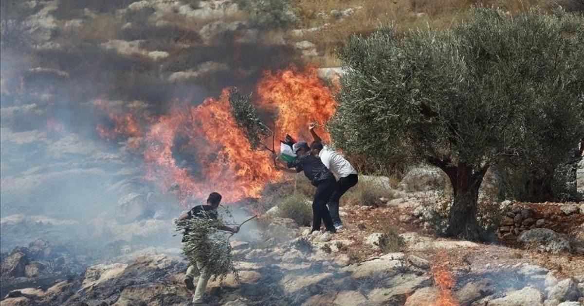 فلسطين – مستوطنون يحرقون أراضي في قرية المغير شمال شرق رام الله