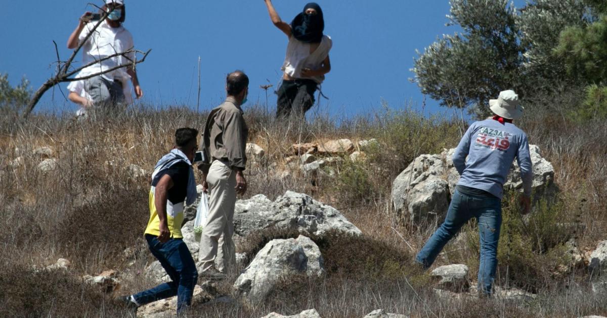 Settlers brutally attack Doctors Without Borders staff member in southern West Bank