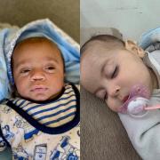 الرضيعة سناء عزّ الدين النمنم، والرضيع علاء أبو طه.