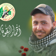 الشهيد أحمد أبو ستة