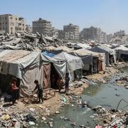 القوارض تنهش أجساد النازحين بغزة وصرخات توفير المبيدات بلا استجابة حقيقية