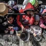 "نكتب لكم قبل أن نسقط".. صرخة استغاثة من غزة لمواجهة "هندسة المجاعة"