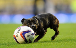 601e51f74236042521677df1