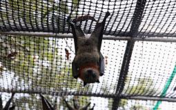 608712a44236046afb4ade11