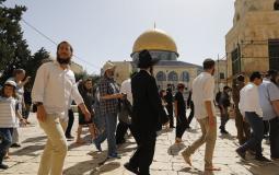 مستوطنون يقتحمون المسجد الأقصى - أرشيفية -