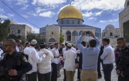 مستوطنون يقتحمون المسجد الأقصى - أرشيفية -