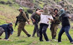 مستوطنون يعتدون على مواطنين -أرشيف-