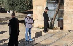 مستوطنون يقتحمون المسجد الأقصى