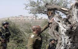 صورة تعبيرية