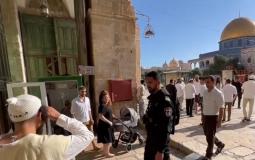 اقتحام المستوطنين للمسجد الأقصى المبارك