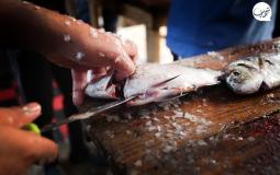 تنظيف السمك "بشيكل" مهنة فقراء غزة لسد حاجتهم