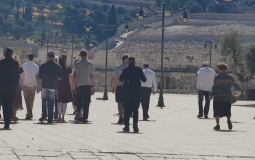 مستوطنون يقتحمون باحات المسجد الأقصى صباح اليوم