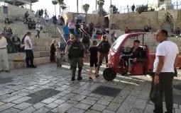 اعتقال قوات الاحتلال لطفلين مقدسيين من منطقة باب العامود