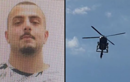 المطارد عدي