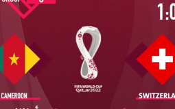 الكاميرون وسويسرا