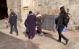 الاحتلال يعتقل 3 فتيات أثناء تواجدهن بالأقصى