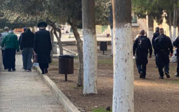 اقتحام المستوطنين للمسجد الأقصى المبارك