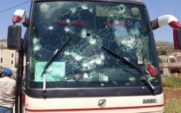 حافلات المستوطنين