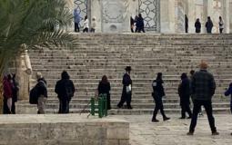 مستوطنون يقتحمون باحات الأقصى بحماية مشددة من قوات الاحتلال الإسرائيلي