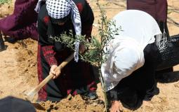 جانب من الفعالية