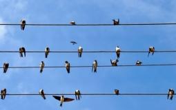 صورة تعبيرية