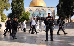 اقتحامات الاحتلال متواصلة