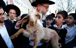 مستوطنون متطرفون -أرشيف-