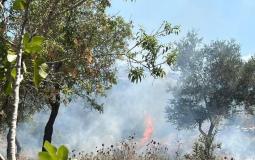 مستوطنون يهاجمون قرية دورا القرع