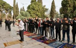 مرابطون في المسجد الأقصى