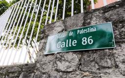 شارع دولة فلسطين