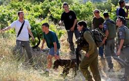 صورة -أرشيفية-