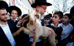 عيد "الفصح التوراتي" ينذر بتصعيد خطير للانتهاكات في المسجد الأقصى