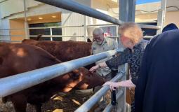 زيارة السفير الأمريكي لدى الاحتلال لـ"البقرات الخمس" في مستوطنة بالضفة