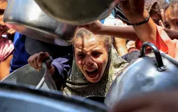 هل يكفي إعلان المجاعة في غزة أم يتحرك العالم لوقف الكارثة؟