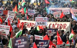 التضامن مع غزة