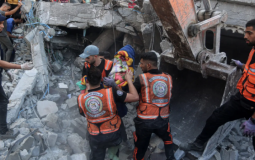 Gaza Health Ministry Reports 41 Deaths and 184 Injuries in 24 Hours.png