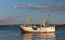 صورة تعبيرية