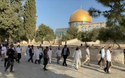 اقتحام المسجد الأقصى