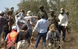 صورة تعبيرية