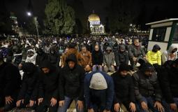 35 ألف مصل يؤدون صلاتي العشاء والتراويح في المسجد الأقصى