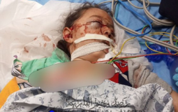 جريمة طمون تكشف أخطر تصدع بين السلطة وشعبها