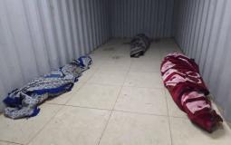 صوت الحقيقة تحت مقصلة الإبادة.. دماء الصحفية "آمال شمالي" شاهدة على العجز الدولي