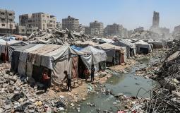 القوارض تنهش أجساد النازحين بغزة وصرخات توفير المبيدات بلا استجابة حقيقية