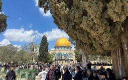 الأقصى يستعيد المصلين بعد إغلاق قسري.. ودعوات لشد الرحال والرباط فيه