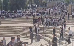 مستوطنون يشاركون بـ"مسيرة الأعلام"