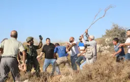 أرشيفية
