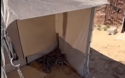 شاب يواجه ثعبانا داخل خيمته في مواصي خانيونس جنوب قطاع غزة