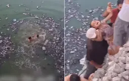 شاب غزيّ يلقي بنفسه في بركة مياه عادمة لإنقاذ طفلة من الغرق بمخيم جباليا